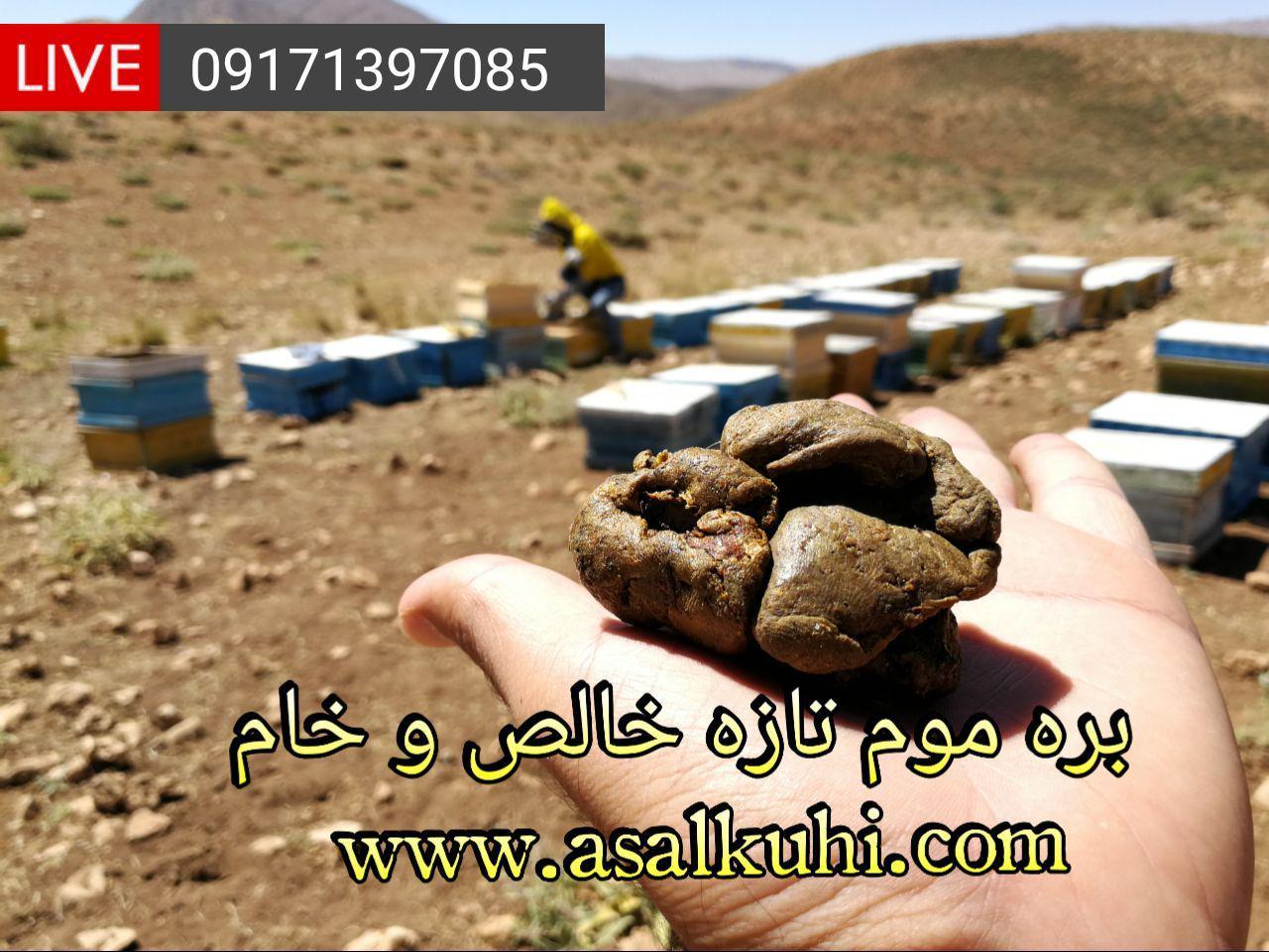 خرید بره موم اصل